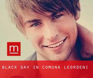 Black Gay in Comuna Leordeni