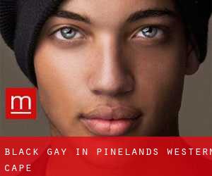 Black Gay in Pinelands (Western Cape)