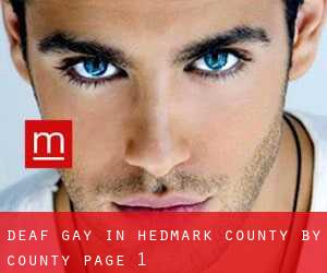 Deaf Gay in Hedmark county by County - page 1