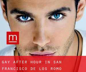 Gay After Hour in San Francisco de los Romo