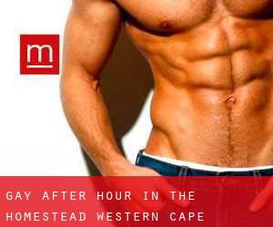 Gay After Hour in The Homestead (Western Cape)
