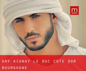 gay Aignay-le-Duc (Cote d'Or, Bourgogne)