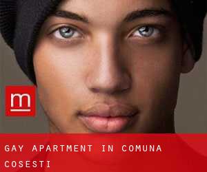 Gay Apartment in Comuna Coşeşti
