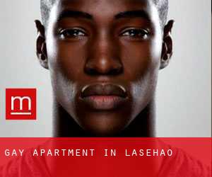 Gay Apartment in Lasehao