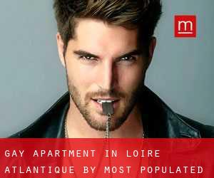 Gay Apartment in Loire-Atlantique by most populated area - page 1