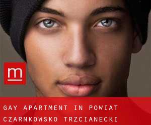 Gay Apartment in Powiat czarnkowsko-trzcianecki