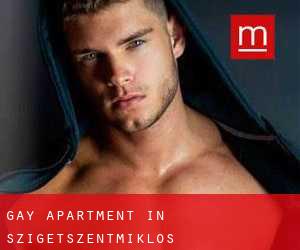 Gay Apartment in Szigetszentmiklós