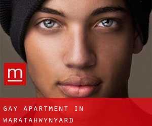 Gay Apartment in Waratah/Wynyard
