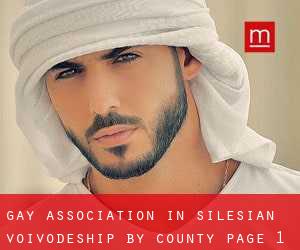 Gay Association in Silesian Voivodeship by County - page 1