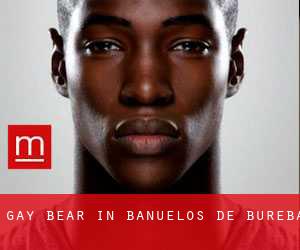 Gay Bear in Bañuelos de Bureba