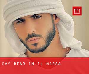 Gay Bear in Il-Marsa