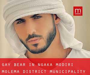 Gay Bear in Ngaka Modiri Molema District Municipality