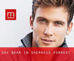 Gay Bear in Sherwood Forrest