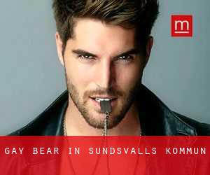 Gay Bear in Sundsvalls Kommun