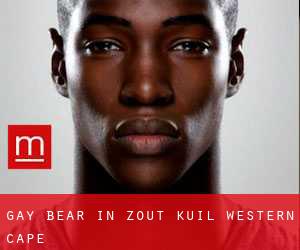 Gay Bear in Zout Kuil (Western Cape)