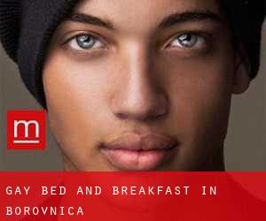 Gay Bed and Breakfast in Borovnica