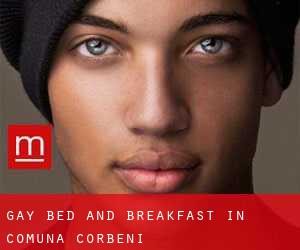 Gay Bed and Breakfast in Comuna Corbeni