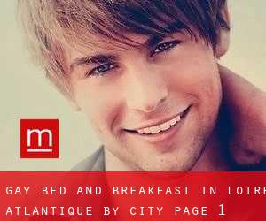 Gay Bed and Breakfast in Loire-Atlantique by city - page 1