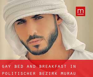 Gay Bed and Breakfast in Politischer Bezirk Murau