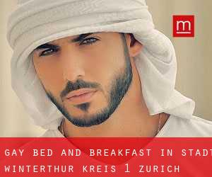 Gay Bed and Breakfast in Stadt Winterthur (Kreis 1) (Zurich)