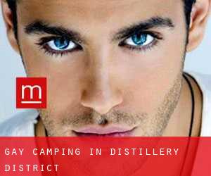 Gay Camping in Distillery District