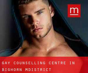 Gay Counselling Centre in Bighorn M.District
