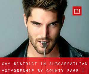 Gay District in Subcarpathian Voivodeship by County - page 1