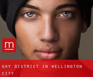 Gay District in Wellington City