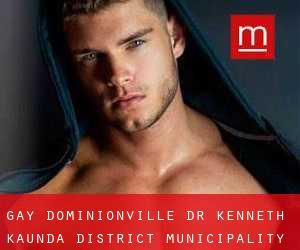 gay Dominionville (Dr Kenneth Kaunda District Municipality, North-West)