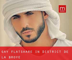 Gay Flatshare in District de la Broye
