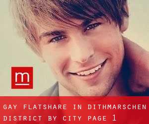 Gay Flatshare in Dithmarschen District by city - page 1