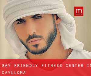 Gay Friendly Fitness Center in Caylloma