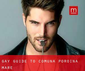 gay guide to Comuna Poroina Mare