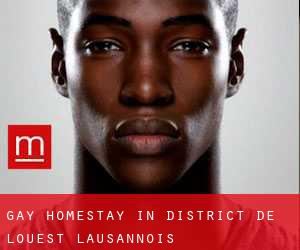 Gay Homestay in District de l'Ouest lausannois