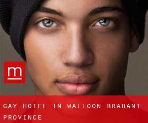 Gay Hotel in Walloon Brabant Province
