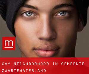 Gay Neighborhood in Gemeente Zwartewaterland