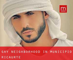 Gay Neighborhood in Municipio Ricaurte