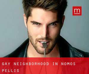 Gay Neighborhood in Nomós Péllis