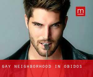 Gay Neighborhood in Óbidos