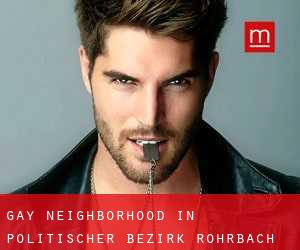 Gay Neighborhood in Politischer Bezirk Rohrbach