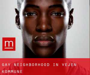 Gay Neighborhood in Vejen Kommune