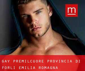 gay Premilcuore (Provincia di Forlì, Emilia-Romagna)