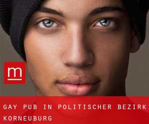 Gay Pub in Politischer Bezirk Korneuburg