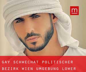 gay Schwechat (Politischer Bezirk Wien Umgebung, Lower Austria)