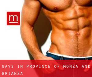 Gays in Province of Monza and Brianza