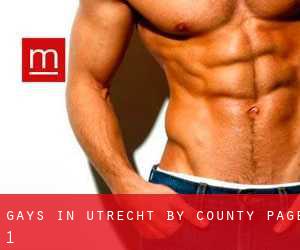 Gays in Utrecht by County - page 1
