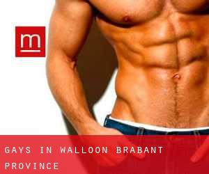 Gays in Walloon Brabant Province