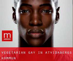 Vegetarian Gay in Åtvidabergs Kommun