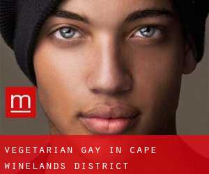 Vegetarian Gay in Cape Winelands District Municipality by county seat - page 1