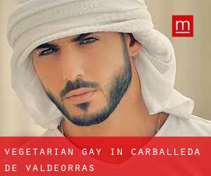 Vegetarian Gay in Carballeda de Valdeorras